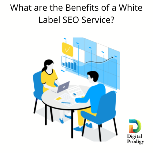 White label SEO services